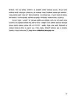 Referāts 'Interneta reklāmas attīstības tendences Latvijā', 24.