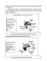 Referāts 'Interneta reklāmas attīstības tendences Latvijā', 30.