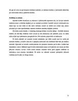 Referāts 'Interneta reklāmas attīstības tendences Latvijā', 37.