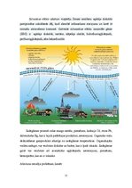 Referāts 'Atkritumu ietekme uz vidi', 13.