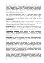 Referāts 'Latvija ceļā uz paplašināto ES un Eiropas Komisijas secinājumi par Latviju', 8.