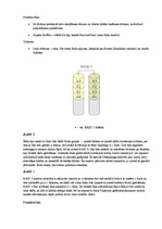 Referāts 'RAID masīvi', 6.