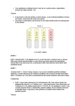 Referāts 'RAID masīvi', 7.