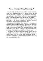 Eseja 'Filmas "Rīgas sargi" recenzija', 3.