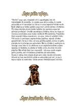 Referāts 'Suns', 2.