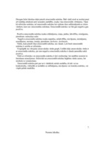 Referāts 'Leksikoloģija', 8.