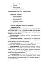 Biznesa plāns 'Biznesa plāns', 4.