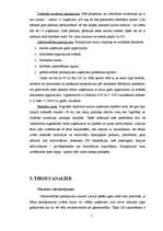 Biznesa plāns 'Biznesa plāns', 5.