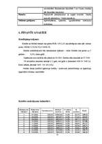 Biznesa plāns 'Biznesa plāns', 10.