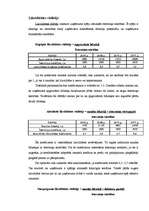 Biznesa plāns 'Biznesa plāns', 16.