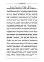 Referāts 'Jaunā ekonomika', 30.