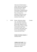 Paraugs 'Scenārijs "Kultūras ikonas"', 3.