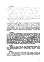 Referāts 'Tūrisms Vācijā', 11.