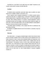 Referāts 'Pirts un tās iedarbība uz organismu', 17.