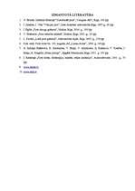 Referāts 'Pirts un tās iedarbība uz organismu', 26.