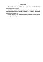 Referāts 'Pirts un tās iedarbība uz organismu', 28.