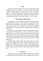 Referāts 'Latgaliskais komponents mākslā', 2.