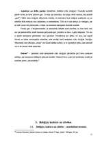 Referāts 'Reliģiju pirmsākumi', 11.