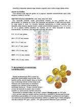 Referāts 'Eiro - Eiropas valūta', 6.