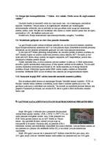 Referāts 'Eiro - Eiropas valūta', 11.