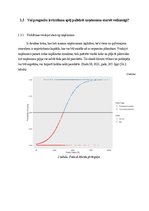 Referāts 'Pētījumu un prezentācijas māksla', 6.