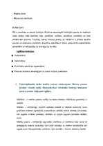 Konspekts 'Integrētais pārbaudījums "Sporta skolotājs"', 4.