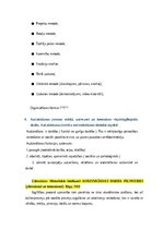 Konspekts 'Integrētais pārbaudījums "Sporta skolotājs"', 8.