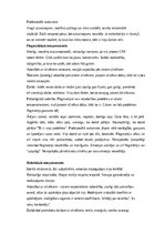 Konspekts 'Integrētais pārbaudījums "Sporta skolotājs"', 21.