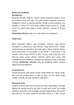 Konspekts 'Integrētais pārbaudījums "Sporta skolotājs"', 24.