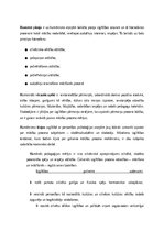 Konspekts 'Integrētais pārbaudījums "Sporta skolotājs"', 34.