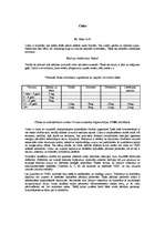 Konspekts 'Cinks', 1.