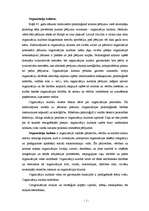 Konspekts 'Organizāciju kultūra', 1.