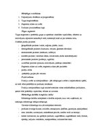 Konspekts 'Mārketinga darbības vide. Mārketinga process uzņēmumā. Mārketinga komplekss, tā ', 3.