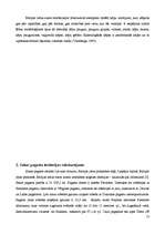 Referāts 'Baltijas ledus ezera piekrastes veidojumi Liepājas rajona Sakas pagastā', 13.