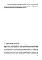 Referāts 'Baltijas ledus ezera piekrastes veidojumi Liepājas rajona Sakas pagastā', 16.