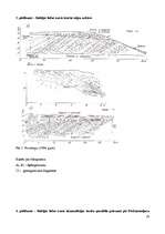 Referāts 'Baltijas ledus ezera piekrastes veidojumi Liepājas rajona Sakas pagastā', 28.