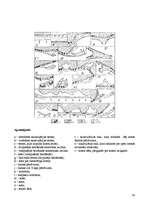 Referāts 'Baltijas ledus ezera piekrastes veidojumi Liepājas rajona Sakas pagastā', 30.