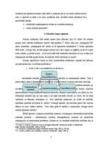 Referāts 'Sociālās lomas ģimenē', 8.