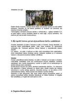 Referāts 'Betons', 21.