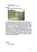 Referāts 'Betons', 23.