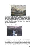 Referāts 'Betons', 24.