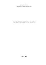 Prakses atskaite 'Telpas izpēte Dailes teātra apkārtnē', 1.