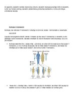 Konspekts 'Cilvēka ģenētika - gēnu mutācijas', 4.