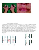Konspekts 'Cilvēka ģenētika - gēnu mutācijas', 7.