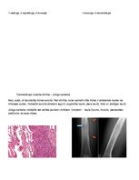 Konspekts 'Cilvēka ģenētika - gēnu mutācijas', 8.