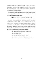 Referāts 'Dārzeņi, augļi un ogas', 6.