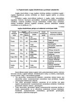 Referāts 'Zemnieku saimniecības "Purmalieši" analīze', 19.