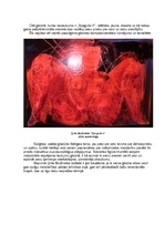 Eseja 'Modernās mākslas analīze. Manas pārdomas un vērojumi Ģirta Muižnieka izstādē', 5.