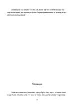 Referāts 'Nozīmīgākie sieviešu tēli Andreja Eglīša dzīvē un dzejā', 17.