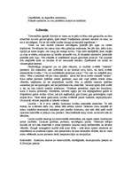 Referāts 'Laulāto draugu konflikti dažādu autoru skatījumā', 2.